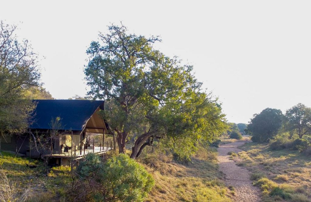 Garonga Tented Camp in the Kruger National Park