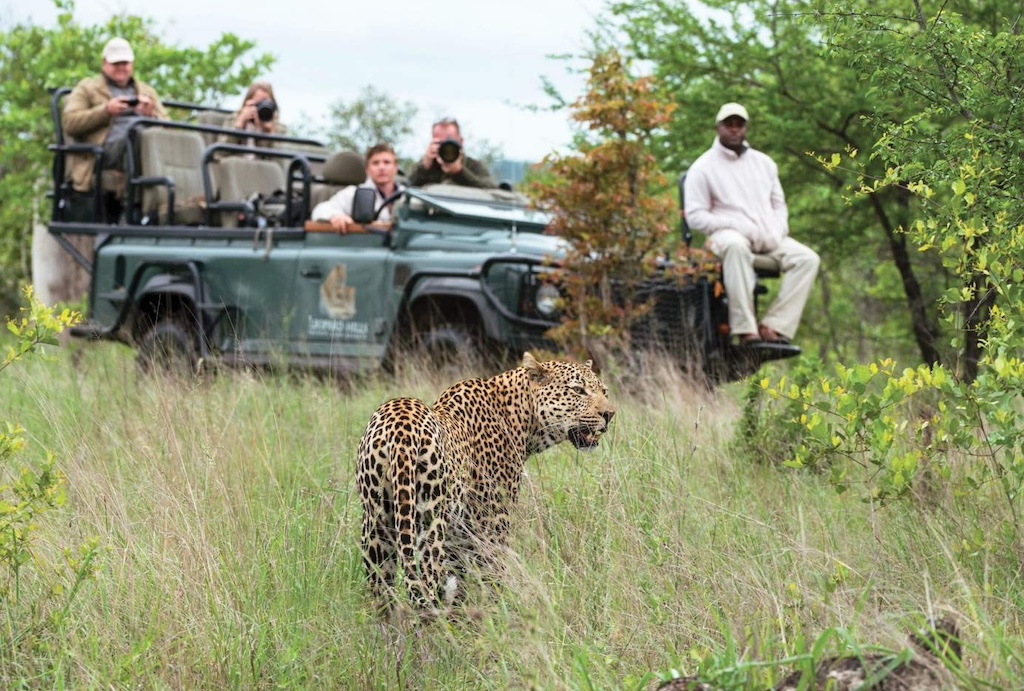 A game drive in the Kruger National Park