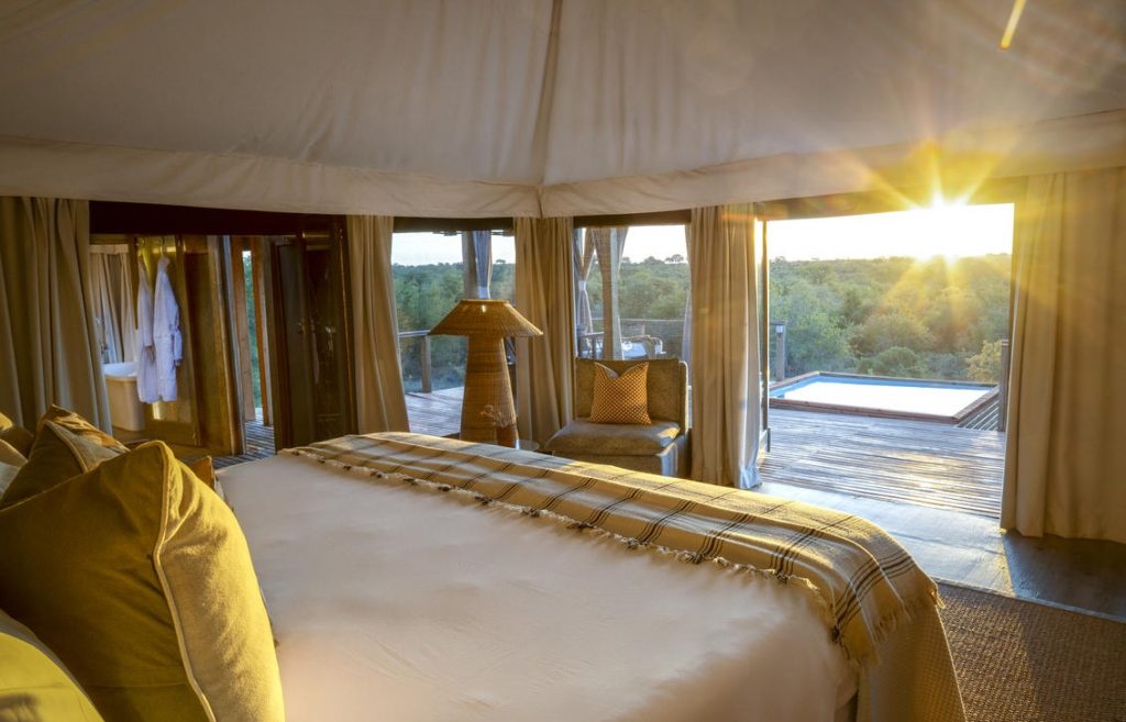 A tented luxury suite overlooking the Timbavati Private Nature Reserve