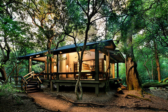 Forest Lodge Luxury suite 2