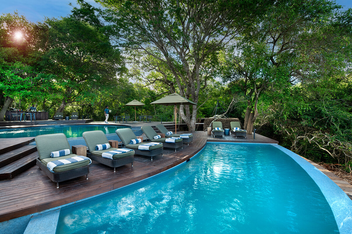 Forest Lodge feature 3