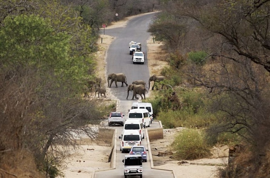 Public roads in the Kruger National Park