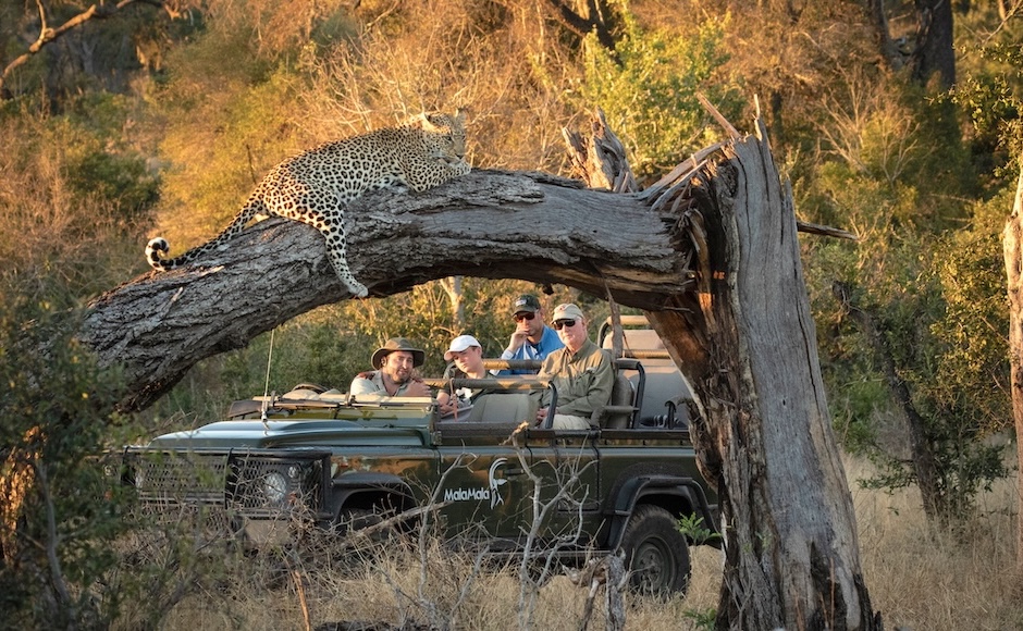 MalaMala Private Game Reserve in South Africa.
