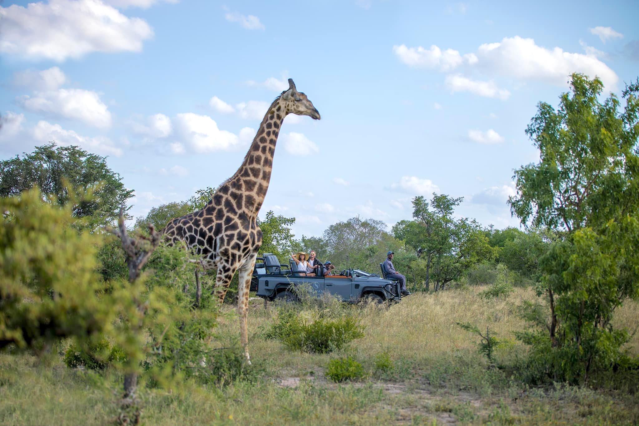 A private game reserve in South Africa